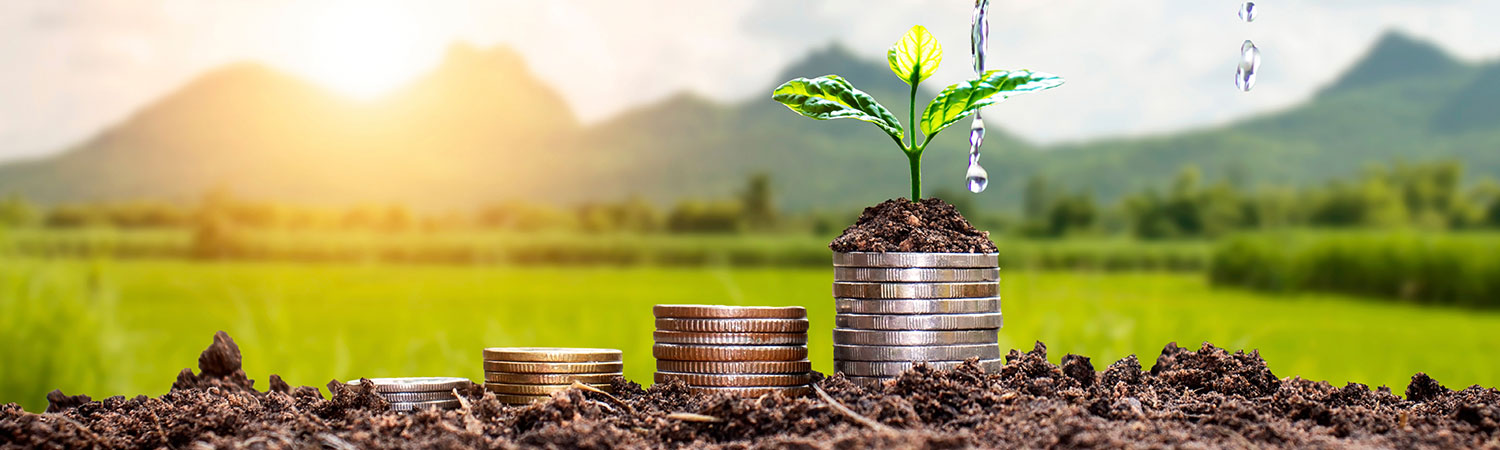 masthead-financial-literacy-450 (1)