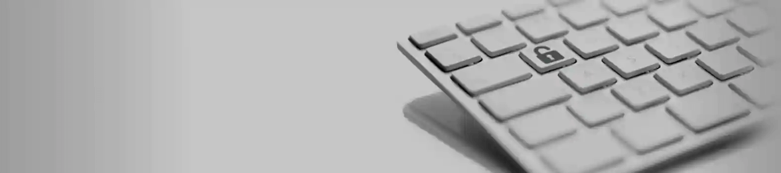 website-privacy-statement (1)